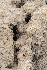 dry soil cracked earth texture