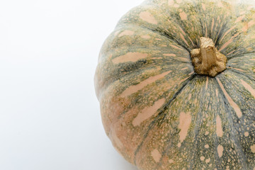 orange pumpkin