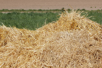 bales of straw