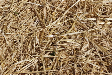 bales of straw