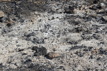 ashes