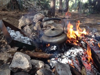 Fireplace in the Israeli forest. picnic