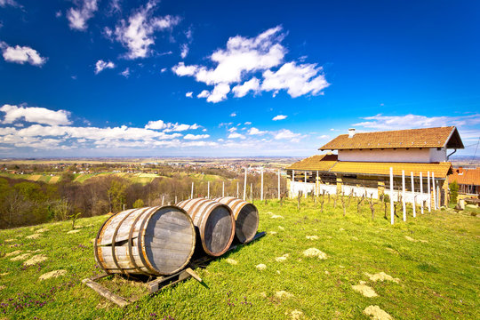 Vineyard hill landscape and wine barrels