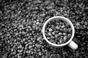 Coffee seeds with cup in the black and white 
