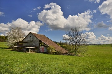 Obraz premium Spring sunny day on pasture with old barn