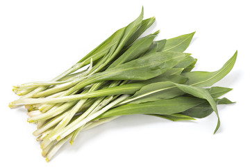 Bunch of wild garlic isolated on white background