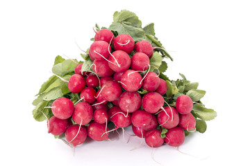 Small garden radishes isolated on white background