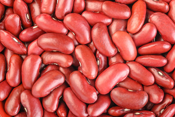 red kidney bean
