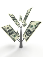 Money tree from dollar. Business concepts