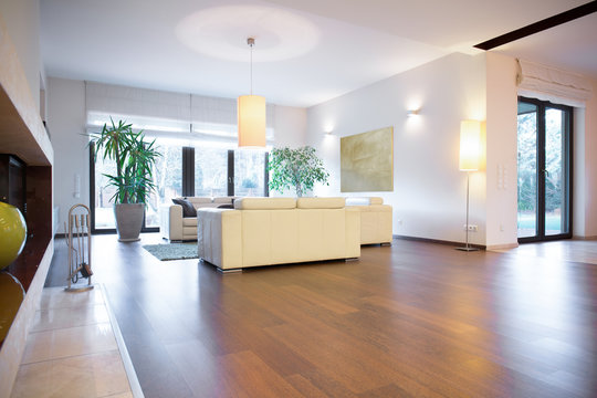 Stylish living room