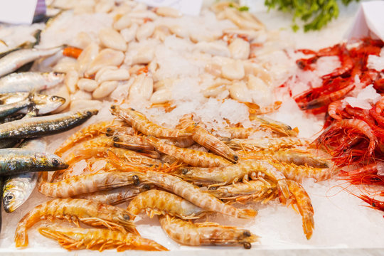 Seafood variety on ice in market