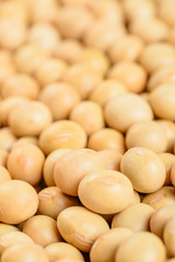 close up of soybean
