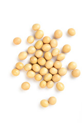 soybean