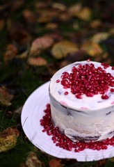 Rustic Chocoholic Cake with Pomegranate