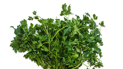 Fototapeta premium Bunch of parsley