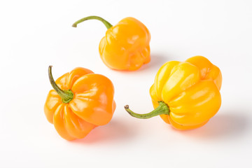 yellow emperor pepper