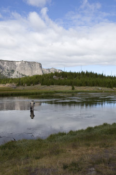 Fly Fishing at Yellowstone