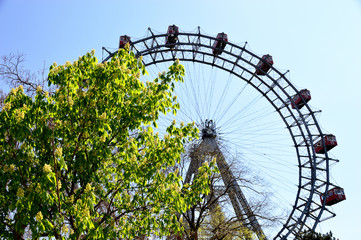Leuchtende Blätter vor dem Wiener Riesenrad