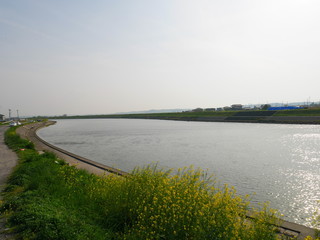 茨城県　涸沼川