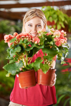 Frau im Blumenladen mit Eliator-Begonien