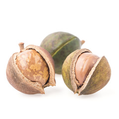 macadamia nuts on white background