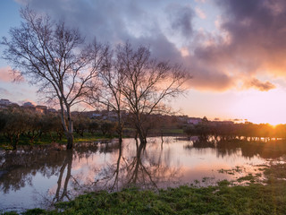 landscape of zante island