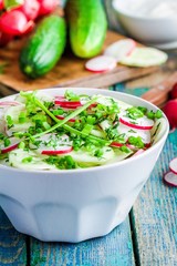 salad of fresh organic radish and cucumber in white bowl