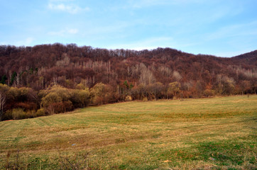 Łąka i las  © wedrownik52