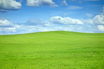 Obraz premium green hill