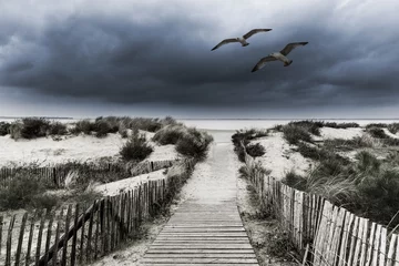 Foto op Plexiglas Stürmisches Wetter am Strand © by-studio