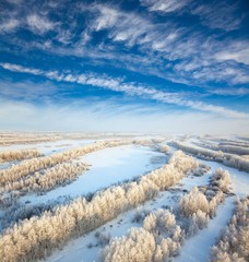 Forest during frozen winter day, top view