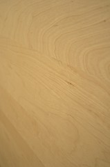 Holz / Laminat / Parkett / Boden