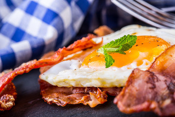 Ham and Egg. Bacon and Egg. 