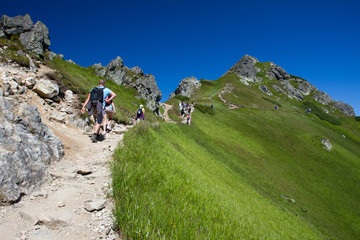 Fototapeta premium People hiking rear view