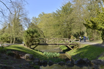 Fototapeta na wymiar Pont rustique à l'étang Tenreuken du parc Seny à Bruxelles