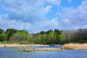 Beautiful spring landscape with lake