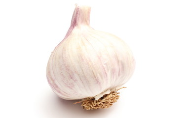 Fresh bulb of garlic on white background