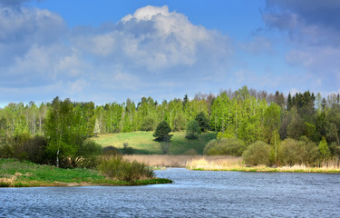 Beautiful spring landscape with lake