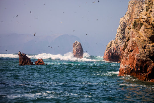 Birds over the reef national park Isla de Ballestas, Peru