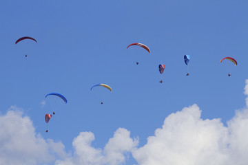 eight Paragliders flying against the blue sky