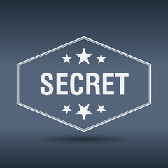 secret hexagonal white vintage retro style label