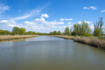 Canal under a blue cloudy sky in spring