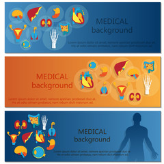 Concept of web banner. Medical background.Human anatomy.