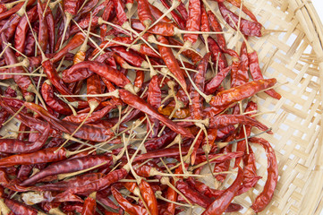 dry hot chili pepper hot spicy heat concept