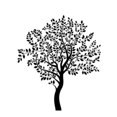Tree black silhouette isolated on white