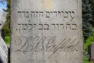 Jüdischer Friedhof in Stadthagen