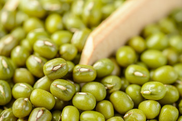 mung bean