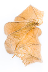 Cape Gooseberry, Physalis