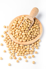 soybean