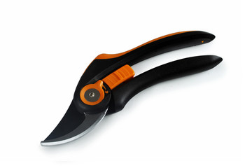 Obraz premium New secateurs
